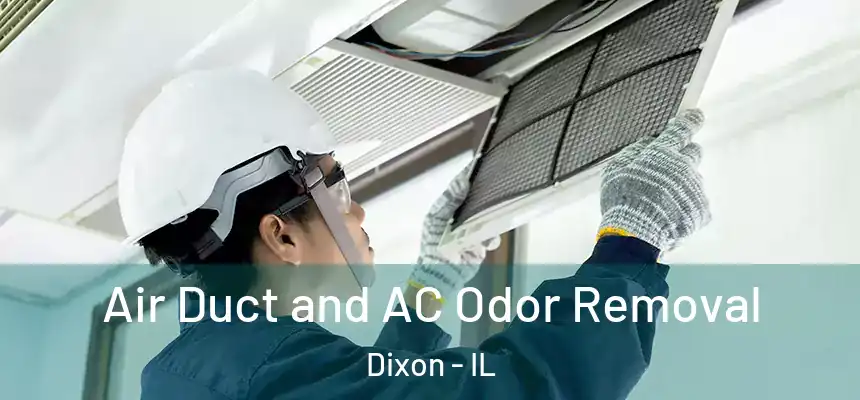 Air Duct and AC Odor Removal Dixon - IL