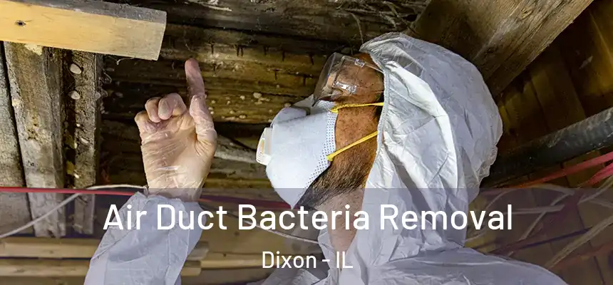  Air Duct Bacteria Removal Dixon - IL
