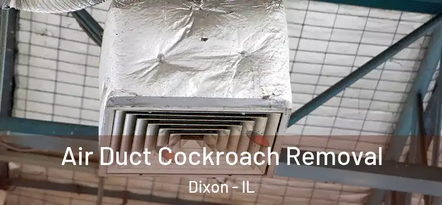 Air Duct Cockroach Removal Dixon - IL
