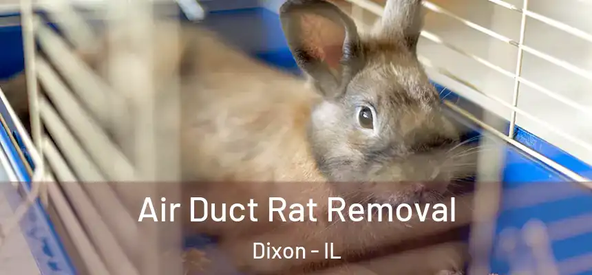  Air Duct Rat Removal Dixon - IL