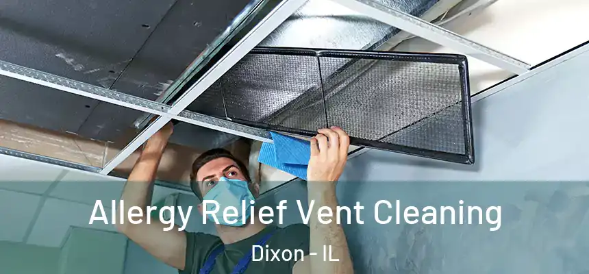 Allergy Relief Vent Cleaning Dixon - IL