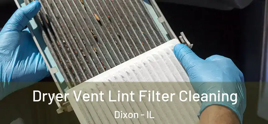  Dryer Vent Lint Filter Cleaning Dixon - IL