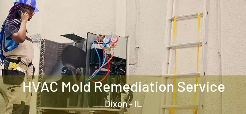 HVAC Mold Remediation Service Dixon - IL
