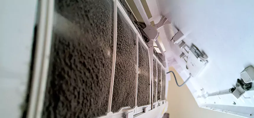 Preventive Air Duct Bacteria Removal in Dixon