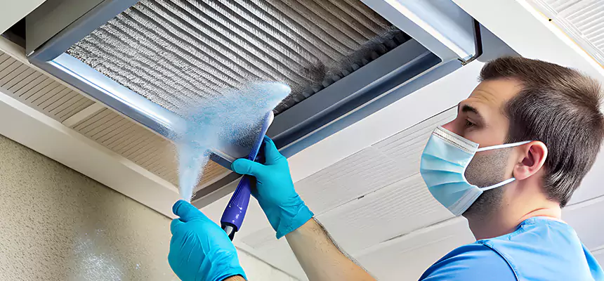 Proactive Dryer Vent & Auxiliary Duct Pollen Cleanup in Dixon, IL