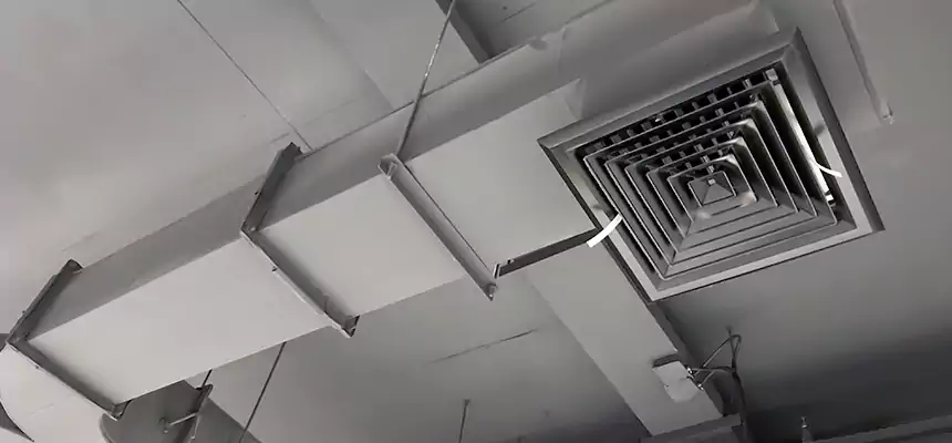 Restorative Allergy Relief Vent Cleaning – Coil, Blower & Housing Detail in Dixon