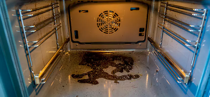 Our Dryer Vent Mold Cleaning Services in Dixon, IL