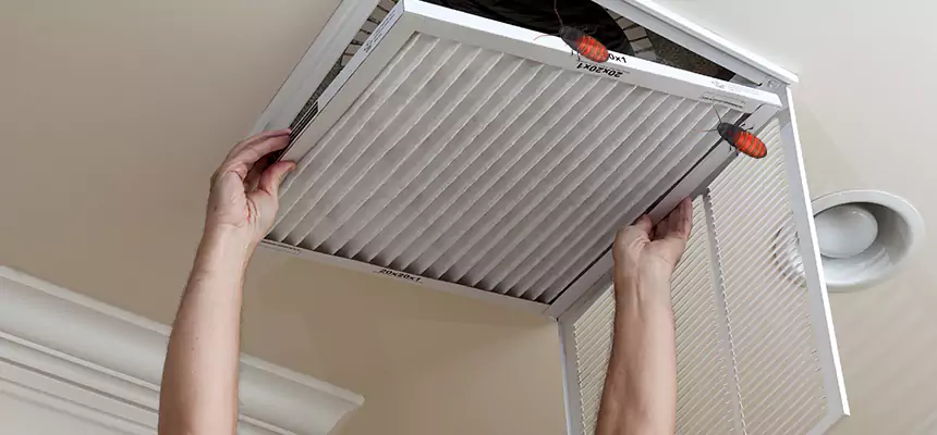Our Insect Removal from Air Ducts Services in Dixon, IL