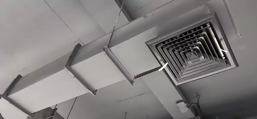 Our Pest Removal From Ducts Services in Dixon, IL