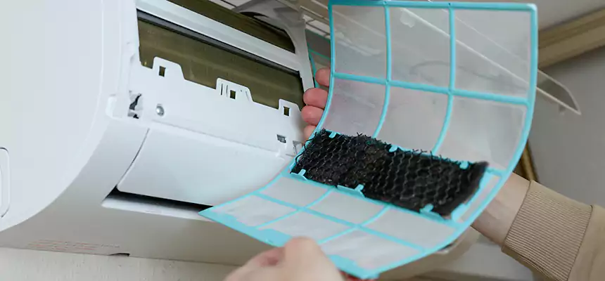 Gentle Ductwork Odor-Control Pet Dander Duct Cleaning in Dixon, IL