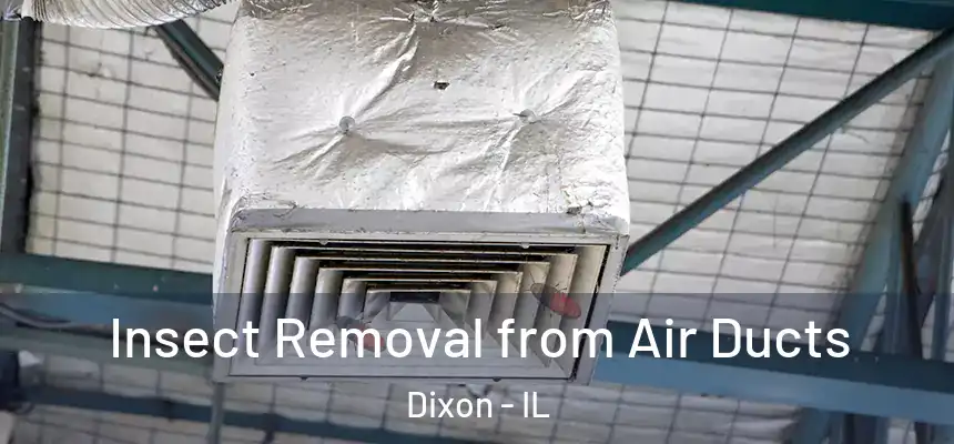  Insect Removal from Air Ducts Dixon - IL