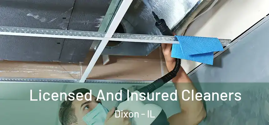  Licensed And Insured Cleaners Dixon - IL