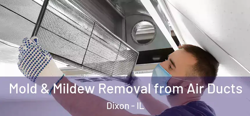 Mold & Mildew Removal from Air Ducts Dixon - IL