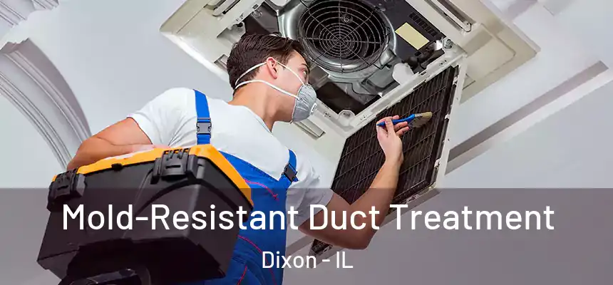 Mold-Resistant Duct Treatment Dixon - IL