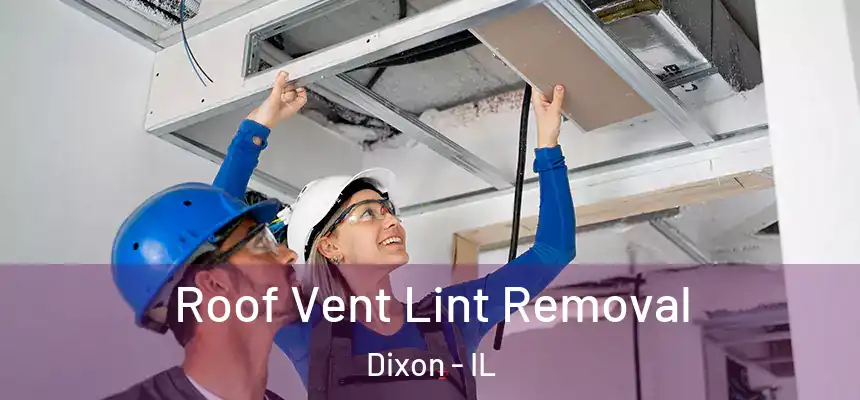 Roof Vent Lint Removal Dixon - IL