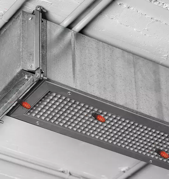 About Air Duct Cockroach Removal in Dixon, IL