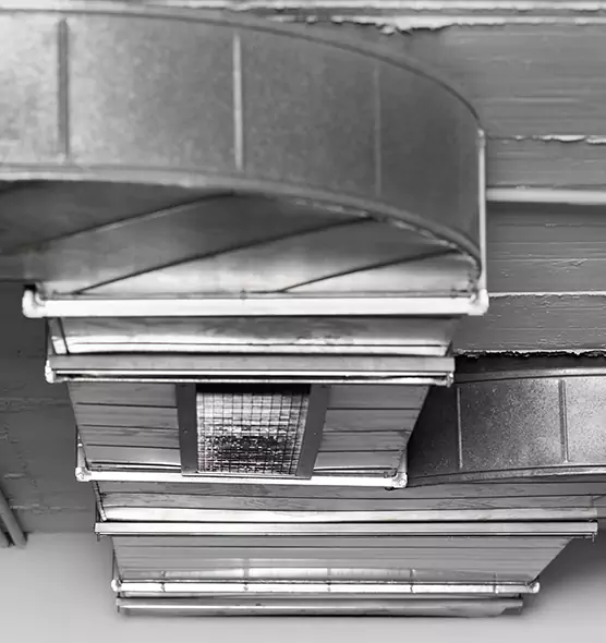 Professional Air Duct Pest Removal in Dixon, IL