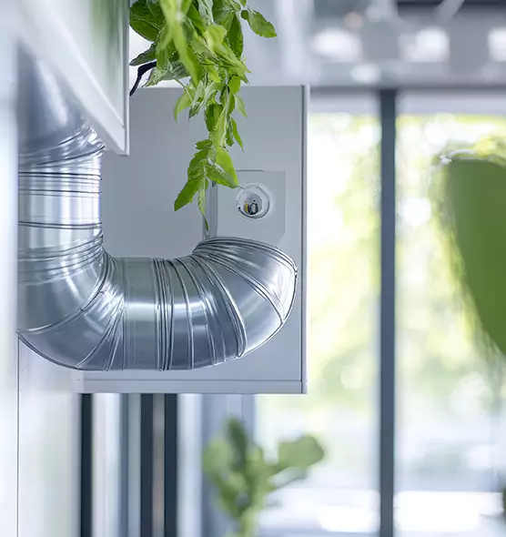 Professional Eco-Safe Dryer Vent Cleaning in Dixon, IL