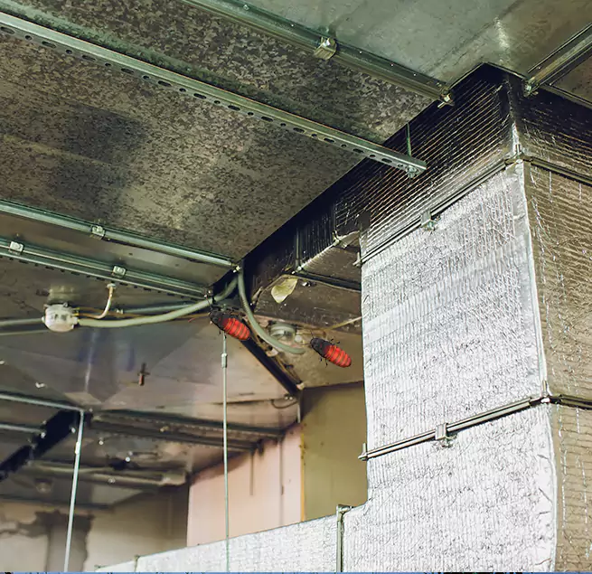 Why Homeowners & Businesses Trust Us in Dixon, IL?