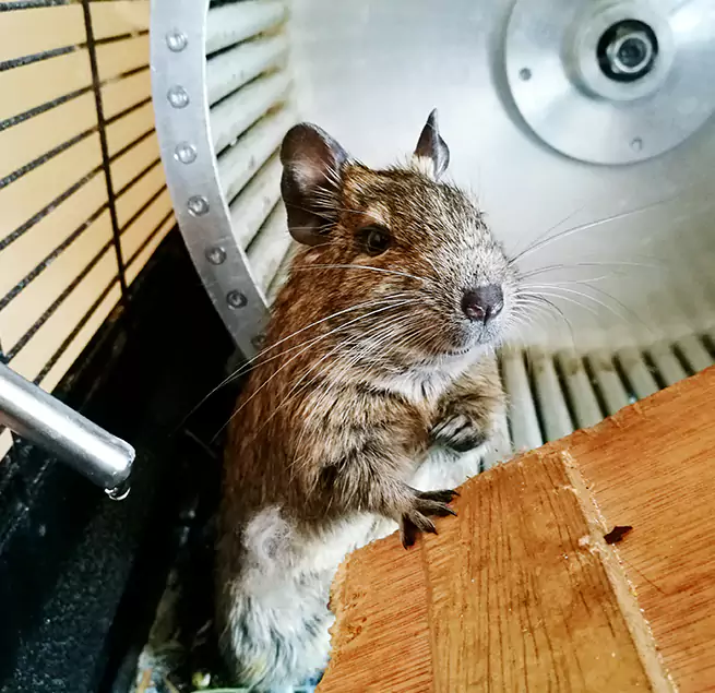 Why Homeowners & Businesses Trust Us Dixon, IL?