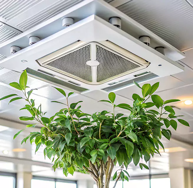 Why Homeowners & Businesses Trust Us in Dixon, IL